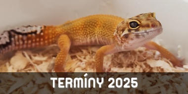 Termíny burzy Teraristika Ústí 2025